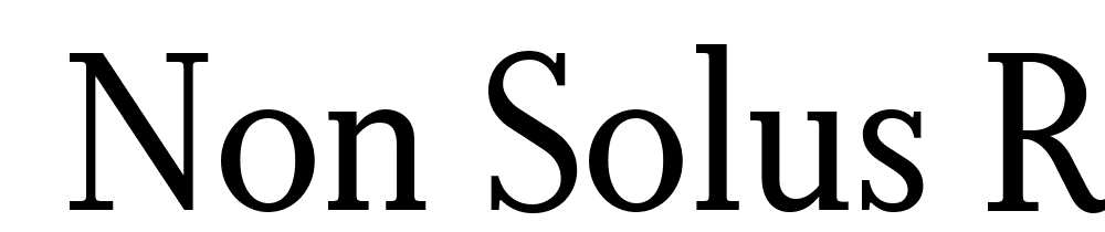  DEMO Non Solus Regular font family download free