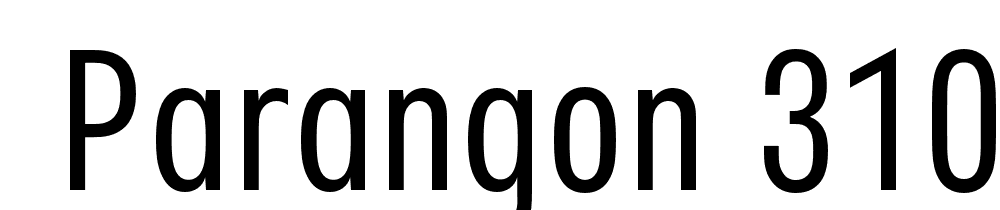  DEMO Parangon 310C Regular font family download free