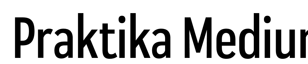  DEMO Praktika Medium Condensed Regular font family download free