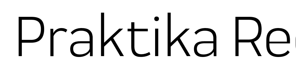  DEMO Praktika Regular font family download free