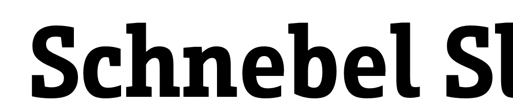  DEMO Schnebel Slab Pro Cond Bold font family download free