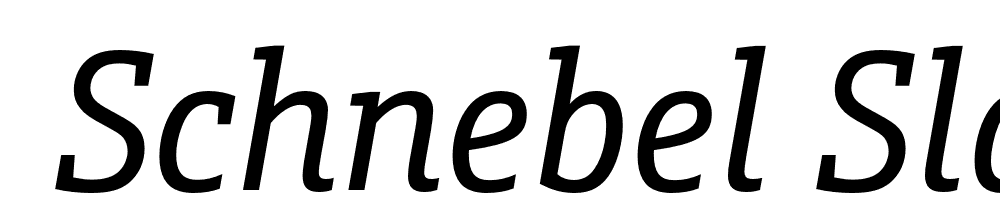  DEMO Schnebel Slab Pro Cond Italic font family download free