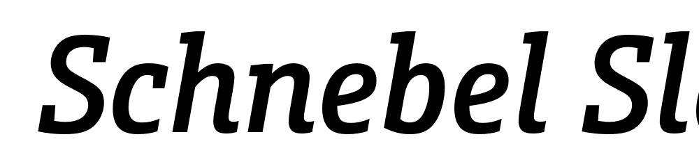  DEMO Schnebel Slab Pro Cond Medium Italic font family download free