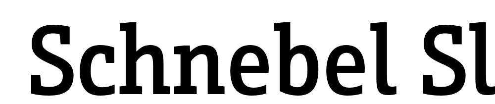  DEMO Schnebel Slab Pro Cond Medium Regular font family download free