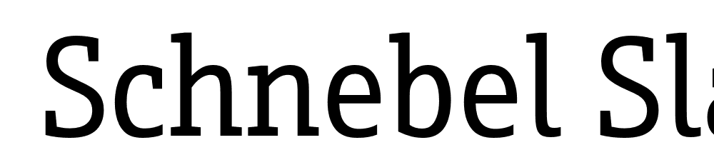  DEMO Schnebel Slab Pro Cond Regular font family download free