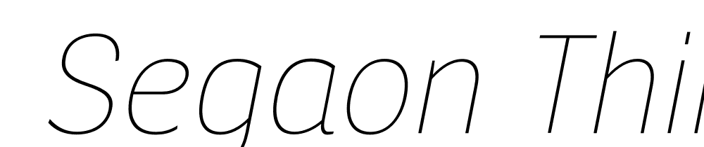  DEMO Segaon Thin Italic font family download free