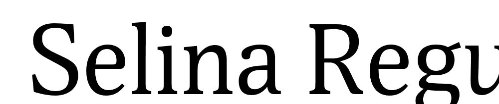  DEMO Selina Regular font family download free