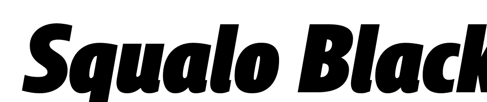  DEMO Squalo Black Italic font family download free