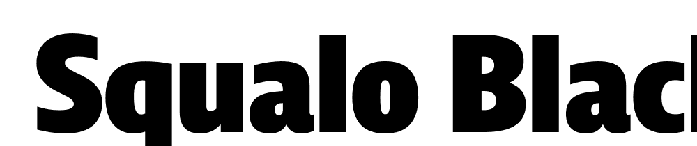  DEMO Squalo Black Regular font family download free