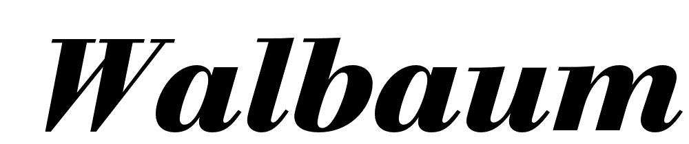  DEMO Walbaum FS Bold Italic font family download free