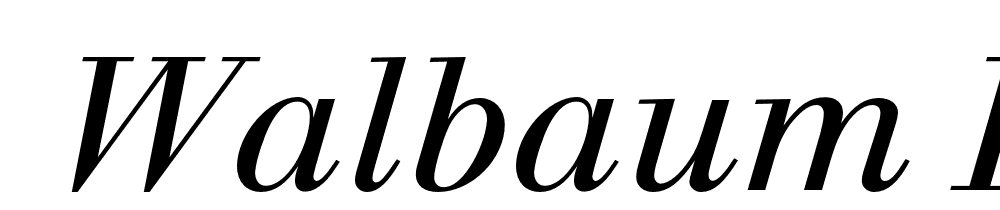  DEMO Walbaum FS Italic font family download free