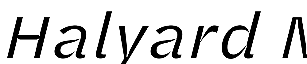 Halyard-Micro-Book-Italic font family download free