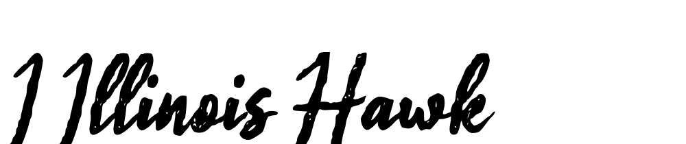 i-illinois-hawk font family download free