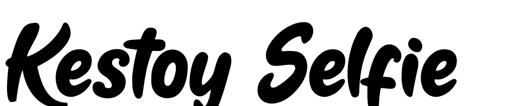 Kestoy-Selfie font family download free