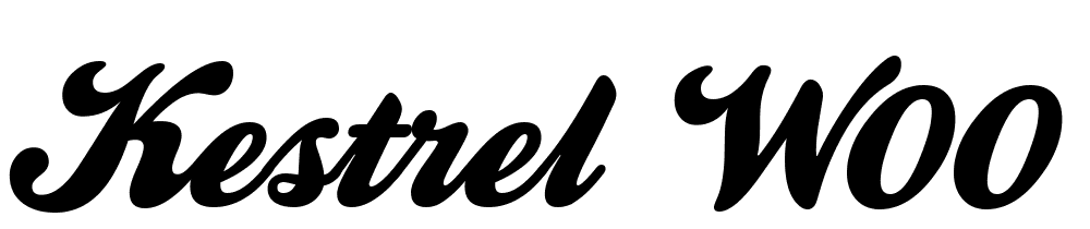 Kestrel-W00-Script font family download free