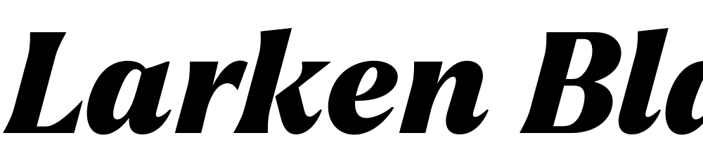 Larken-Black-Italic font family download free