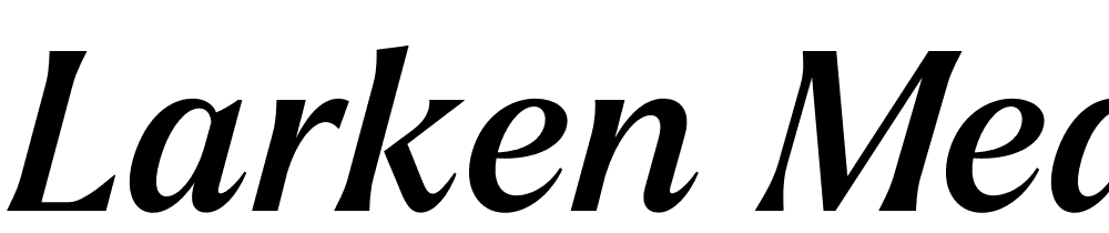 Larken-Medium-Italic font family download free