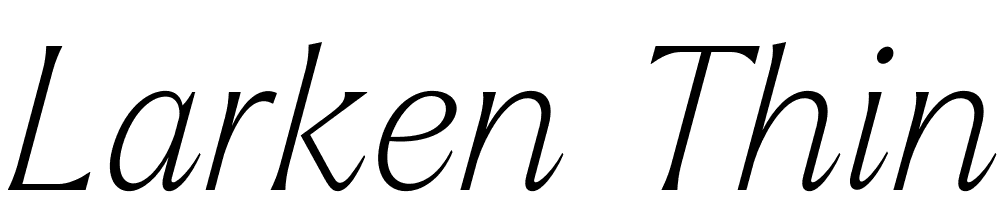 Larken-Thin-Italic font family download free