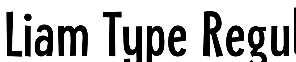 Liam-Type-Regular font family download free