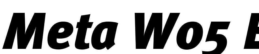 Meta-W05-Black-Italic font family download free