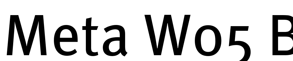 Meta-W05-Book font family download free