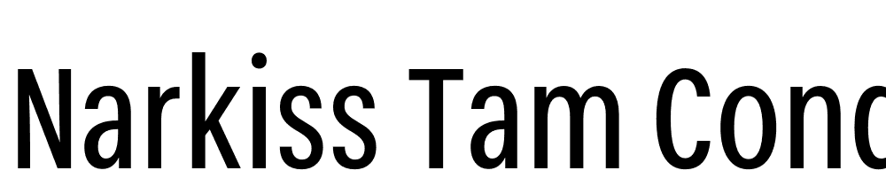 Narkiss-Tam-Condensed-Regular font family download free