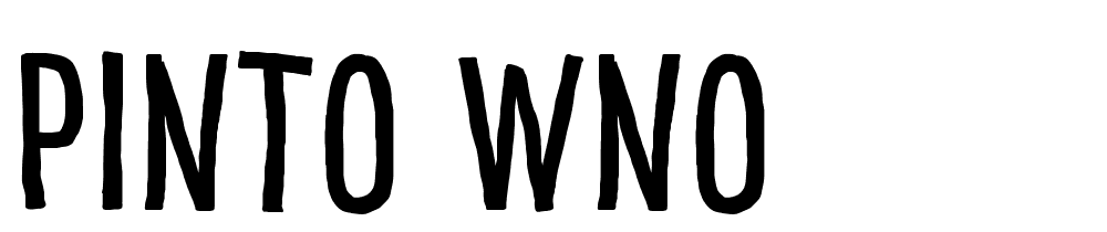 Pinto WNO font family download free