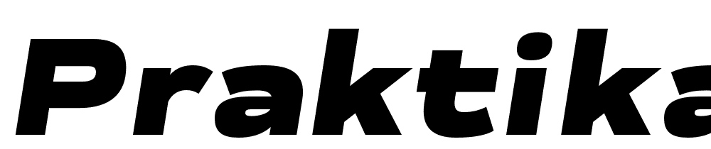 Praktika font family download free