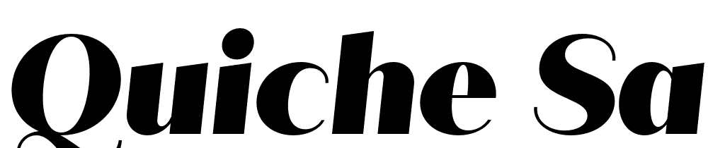 Quiche-Sans-Black-Italic font family download free