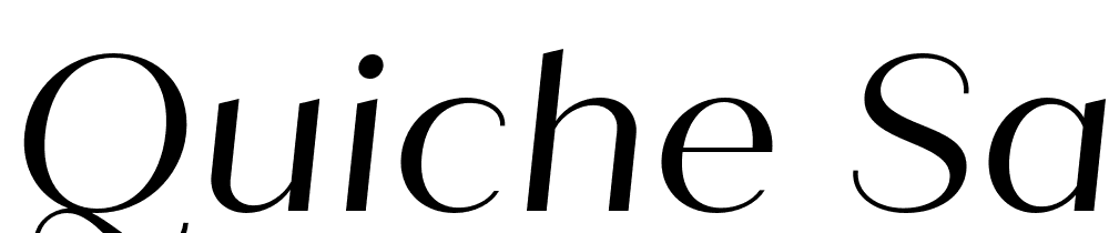 Quiche-Sans-Italic font family download free