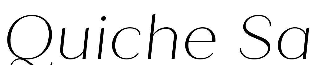 Quiche-Sans-Thin-Italic font family download free