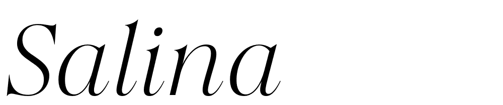 Salina font family download free