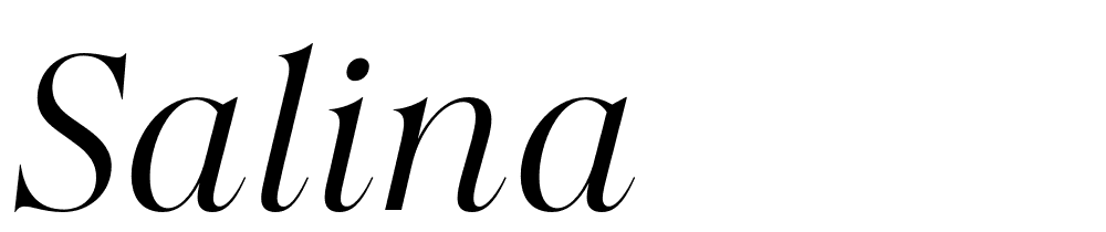 Salina font family download free