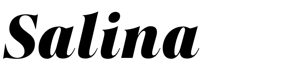 Salina font family download free