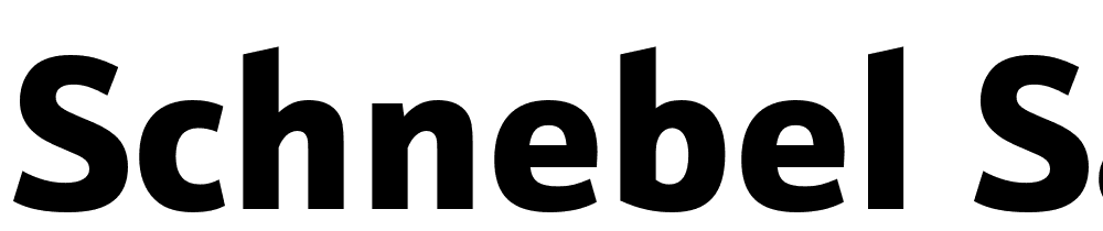 Schnebel-Sans-ME-Black font family download free