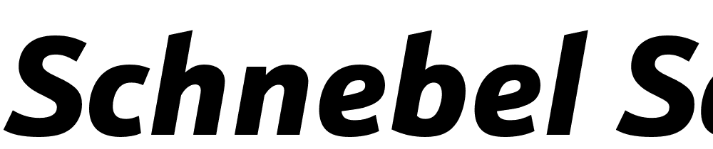 Schnebel-Sans-ME-Black-Italic font family download free