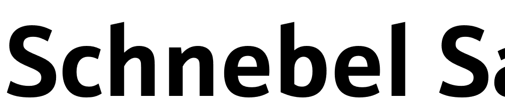 Schnebel-Sans-ME-Bold font family download free
