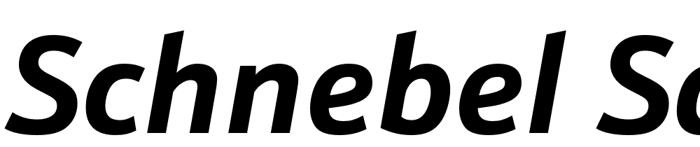Schnebel-Sans-ME-Bold-Italic font family download free