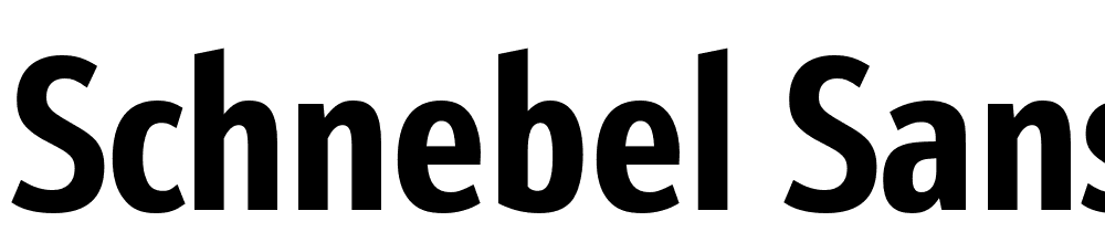 Schnebel-Sans-ME-Comp-Bold font family download free