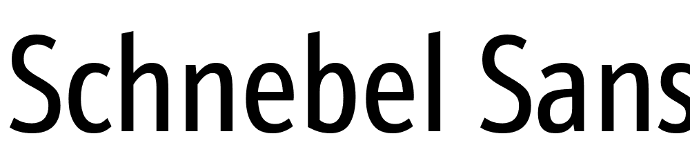 Schnebel-Sans-ME-Comp font family download free