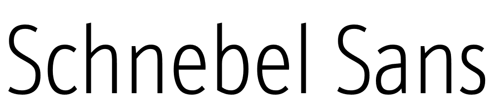 Schnebel-Sans-ME-Comp-Thin font family download free
