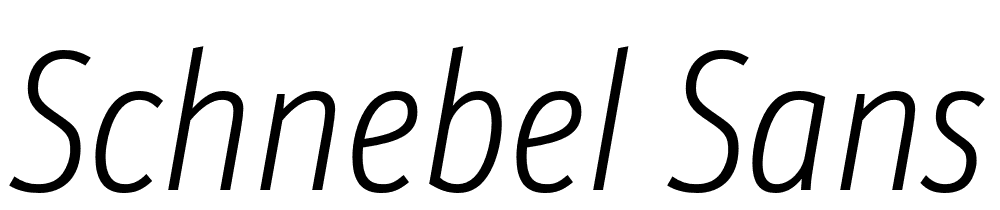 Schnebel-Sans-ME-Comp-Thin-Italic font family download free