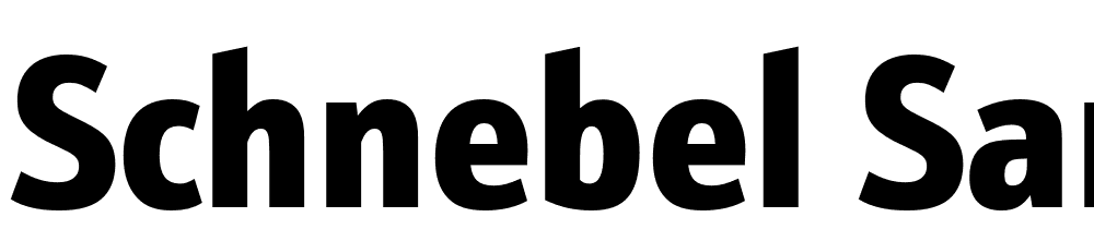 Schnebel-Sans-ME-Cond-Black font family download free