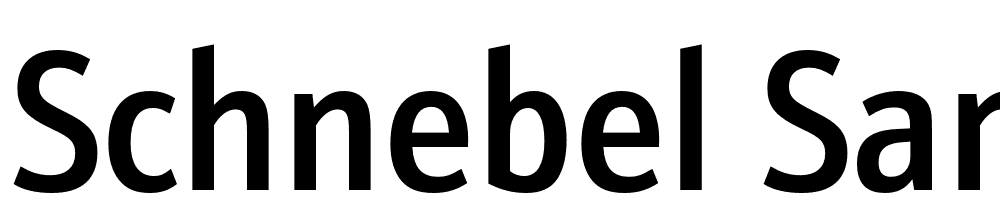 Schnebel-Sans-ME-Cond-Medium font family download free