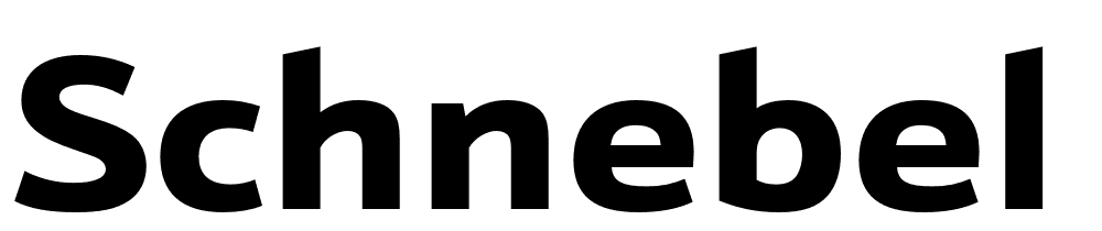 Schnebel-Sans-ME-Expand-Black font family download free