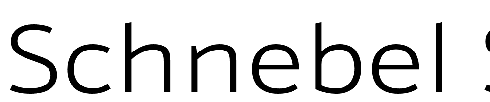 Schnebel-Sans-ME-Expand-Light font family download free