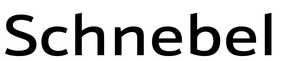 Schnebel-Sans-ME-Expand-Medium font family download free
