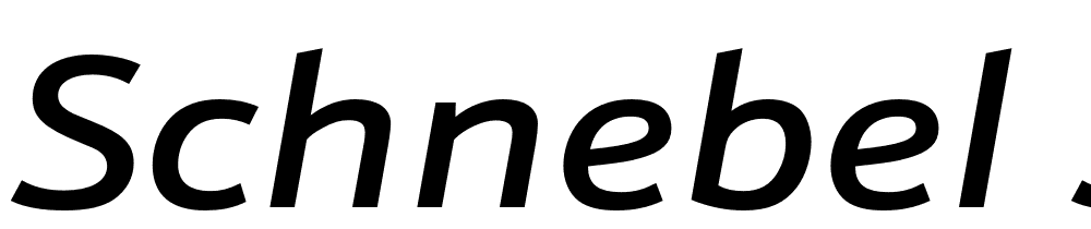 Schnebel-Sans-ME-Expand-Medium-Italic font family download free