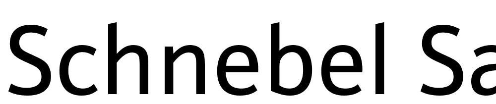 Schnebel-Sans-ME font family download free
