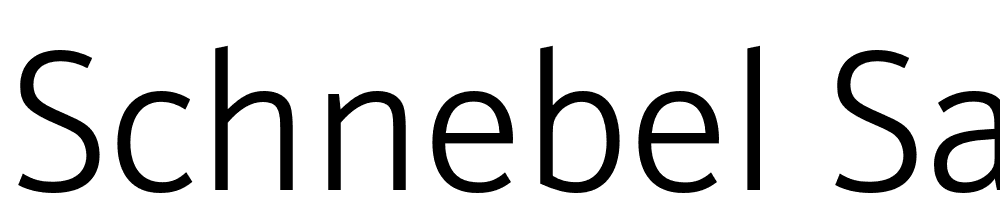Schnebel-Sans-ME-Light font family download free
